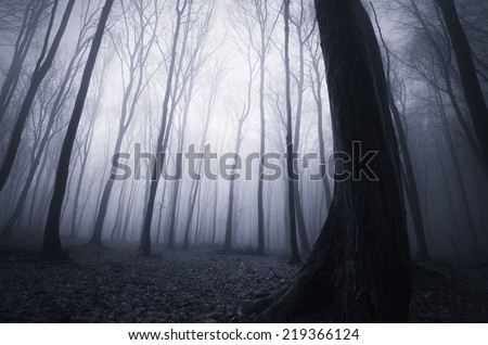 night in a creepy forest on halloween