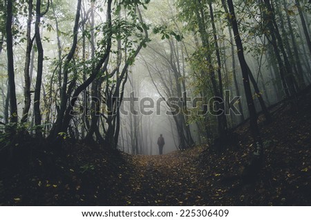 man walking on forest path spooky scene