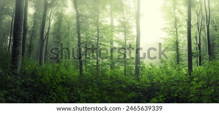 Similar – Image, Stock Photo green forest Forest