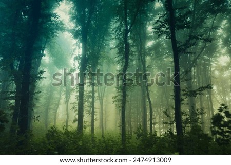 Similar – Image, Stock Photo green forest Forest