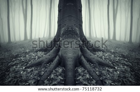tree with strong roots in a forest after rain