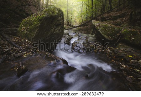 forest river with boulders