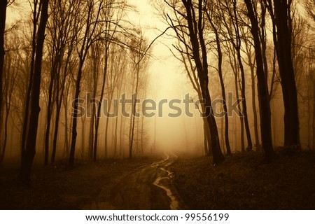 path through a golden forest with black trees