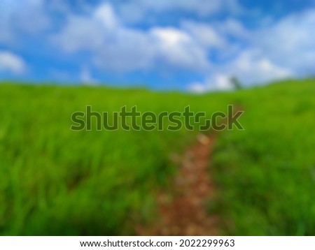 Defocused abstract background of Alak hill meadow  Stock fotó © 