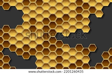 Honeycomb from a bee hive. Vector illustration of a honeycomb on a dark background. Sketch for creativity.