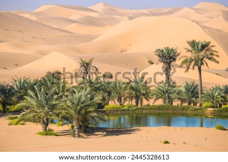 Image, Stock Photo desert tree Desert Tree