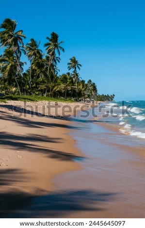 Similar – Strand in Bahia