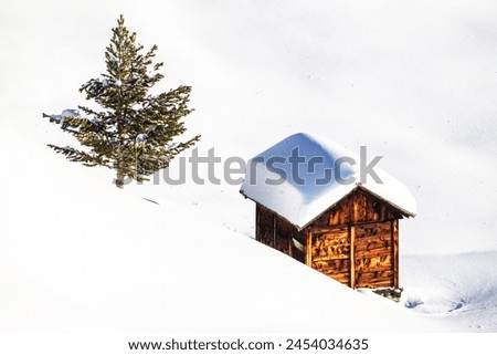 Similar – Image, Stock Photo Winter scenery: A lonely tree crossed by a little creek , landscape full of snow.