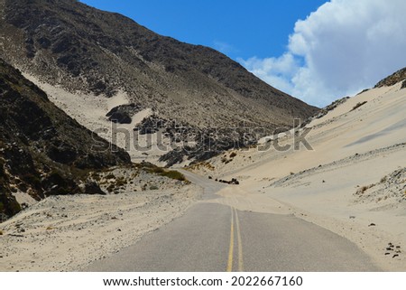 Free roaming cattle resting on sand dunes encroaching on the scenic Cuesta de Randolfo stretch of the Provincial Route 43, on the way to Antofagasta de la Sierra, Catamarca, Argentina ストックフォト © 