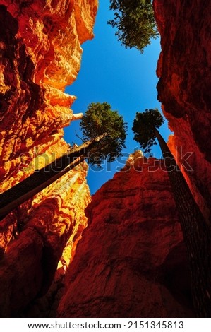 Similar – Foto Bild Bryce Canyon Umwelt Natur