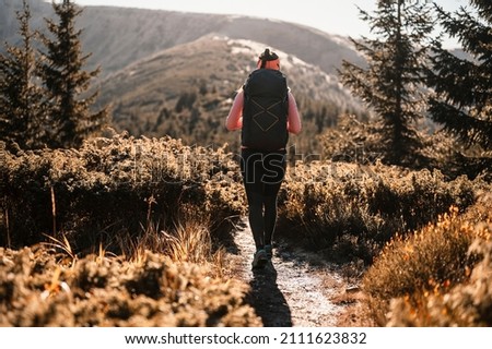 Traveler hiking  with backpacks. Hiking in mountains. Sunny landscape. Tourist traveler on background view mockup. High tatras , slovakia