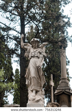 Similar – Image, Stock Photo dear angels Angel Grave