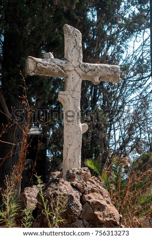 Similar – Image, Stock Photo dear angels Angel Grave