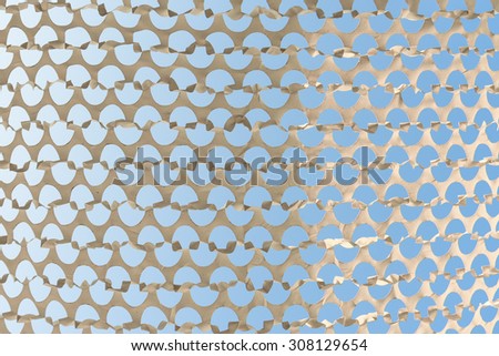 A view at the sky through the net with half-oval pattern