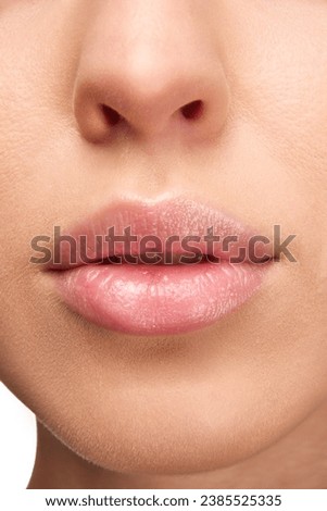 Similar – Image, Stock Photo Close up of dried parrot tulips.