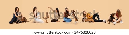 Similar – Image, Stock Photo Owner petting pug dog on grass