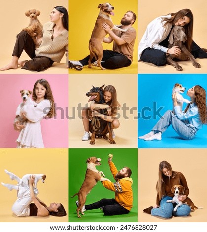 Similar – Image, Stock Photo Owner petting pug dog on grass