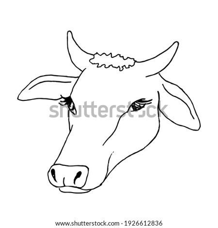 Download Cow Head Coloring Page At Getdrawings Free Download