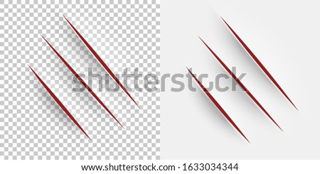 Cut paper. Realistic cut with a office knife on paper sheet. Claws animal scratches. Vector incision on white and transparent background