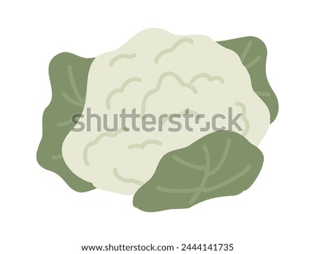 Cauliflower. Organic food concept. Fresh white cole with green leaves. Cartoon cabbage vegetables icon. Flat vector healthy food illustration.