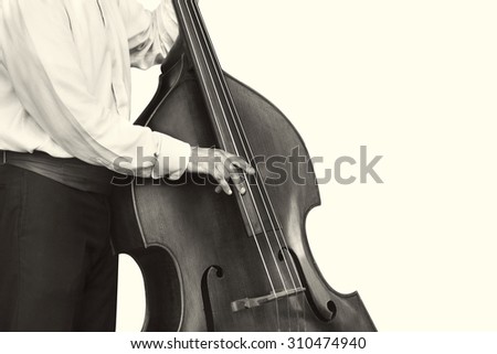 Musician playing acoustic double bass