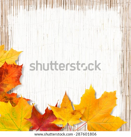 White painted area on rush mat with colorful maple leaves for background