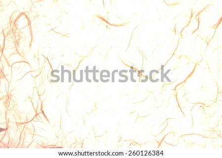 Backgrounds & textures shop. Abstract background - Japanese rice paper. White transparent.