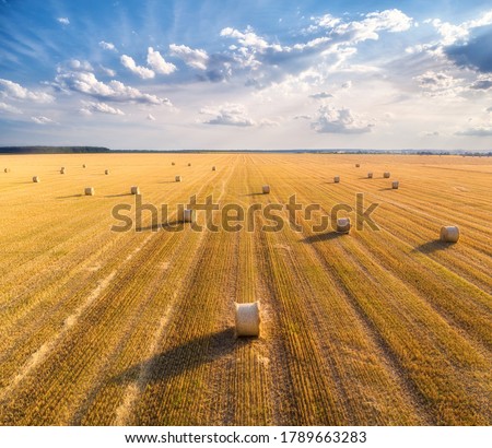 Similar – Foto Bild Heurolle auf dem Feld