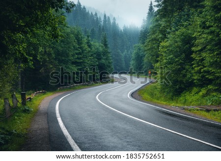Road in foggy forest in rainy day in spring. Beautiful mountain curved roadway, trees with green foliage in fog and overcast sky. Landscape with empty asphalt road through woodland in summer. Travel