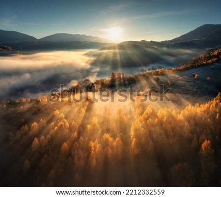 Similar – Image, Stock Photo Leaves and haze on the water against the light