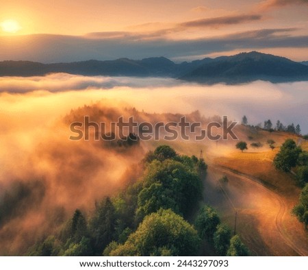 Similar – Image, Stock Photo Misty view Mountain