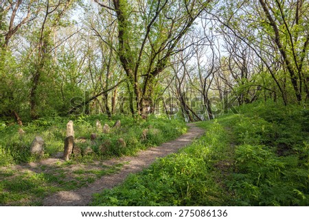 Spring sunset in beautiful magic forest with green plants, trees and trail. Landscape