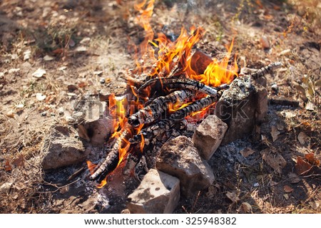 Bonfire in the autumn forest. Coals of fire. Background