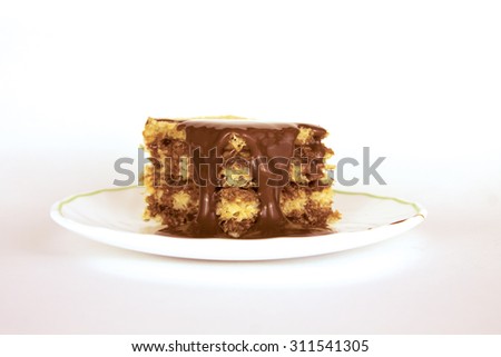 Cake dessert. Sweet gourmet food. Delicious pastry sugar chocolate cream. Tasty bakery on a plate for celebration, party, birthday. Isolated piece with brown cocoa on white background.