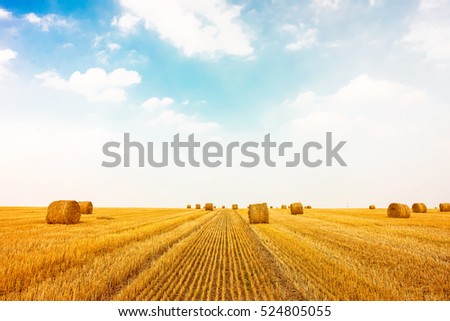 Similar – Image, Stock Photo Field with straw roll points