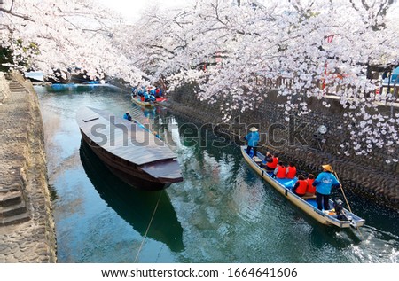 Tourists enjoy the view of cherry blossom trees (Sakura) in Hanami boats steered by boatmen on a canal, in Ogaki City (the final destination of the historic Oku no Hosomichi Journey 奥の細道), Gifu, Japan 商業照片 © 