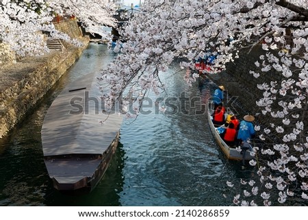 Tourists enjoy a Hanami boat ride down Suimon-Gawa Canal under cherry blossom trees, during Sakura Matsuri in Ogaki 大垣 (the final destination of the historic Oku no Hosomichi journey), in Gifu, Japan 商業照片 © 