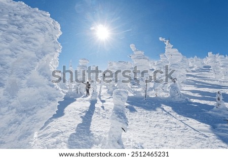 Similar – Foto Bild Winter im Riesengebirge bei Janske Lazne, Tschechien