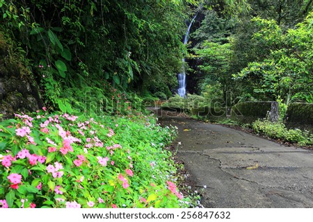 A track leading to a mysterious forest and waterfall