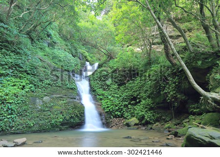 Waterfall in a secret ravine ~ Cool refreshing cascades in a mysterious forest of lush greenery