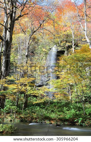 Mysterious waterfall in the autumn forest of Towada Hachimantai National Park, Aomori Oirase Japan