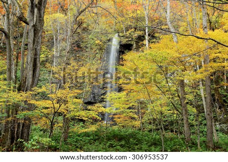 Mysterious waterfall in the autumn forest of Towada Hachimantai National Park, Aomori Oirase Japan