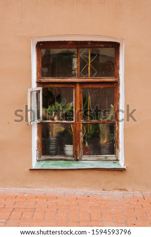 Similar – Image, Stock Photo Cacti behind glass