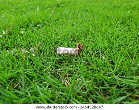 Similar – Image, Stock Photo Cigarette butts on the sidewalk