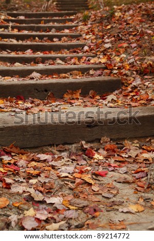 Stairway covered with colorful fallen leaves. Sarah P. Duke Gardens at Duke University in North Carolina.