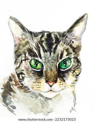 Cat portrait watercolor illustration. Pet painting isolated on background