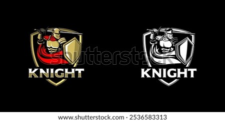 An Illustration logo featuring a knight in a strong stance, holding a sword and shield with conviction. The knight’s armor is finely detailed, representing courage and resilience.