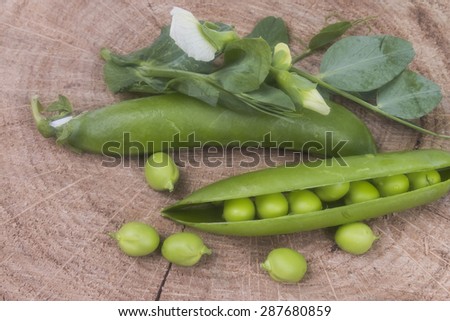 young green peas with a flower on a log