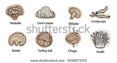 Set of hand drawn medicinal mushrooms with names on white background. Chaga, reishi, shitaki, cordyceps, turkey tail and lions mane mushroom illustration.