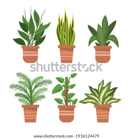 Organic flat houseplant collection Vector illustration.